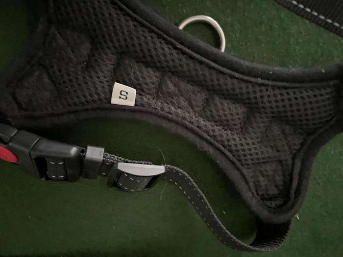 Dog Collars : Rogz collars - take a look : 2 collars and one harness  (sml to med )- good condition