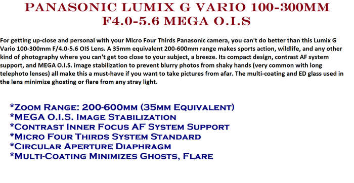 Panasonic LUMIX G VARIO 100-300mm F4.0-5.6 MEGA O.I.S