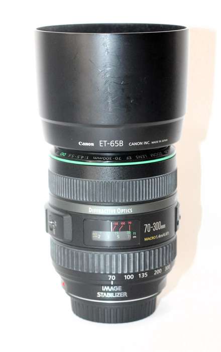 Canon EF 70-300mm f/4.5-5.6 DO IS USM
