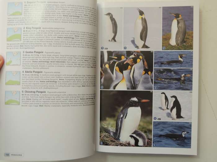 Complete Photographic Field Guide Birds of Southern Africa - Ian Sinclair, Peter Ryan