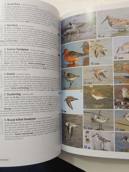 Complete Photographic Field Guide Birds of Southern Africa - Ian Sinclair, Peter Ryan