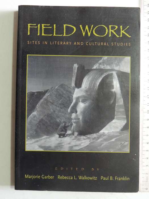 Field Work: Sites In Literary And Cultural Studies- Marjorie Garber, Rebecca L Walkowitz, Paul B