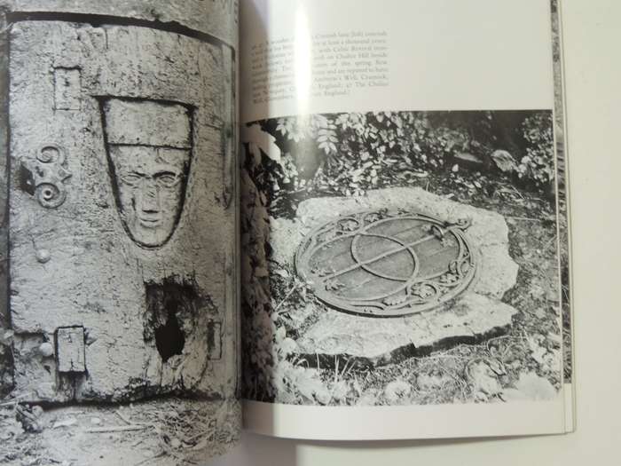 Celtic Mysteries: The Ancient Religion - John Sharkey