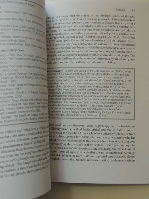 Studying English Literature: A Practical Guide - Tory Young