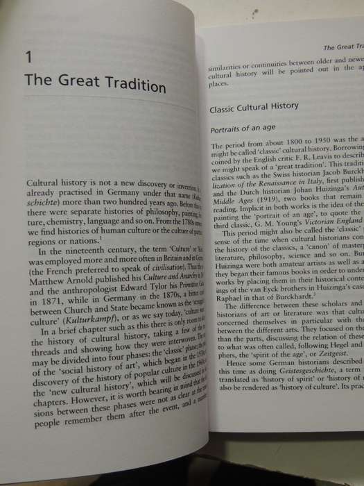 What Is Cultural History- Peter Burke