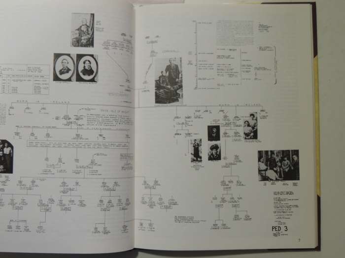 Step-By-Step Guide To Tracing Your Ancestors - D.M. Field