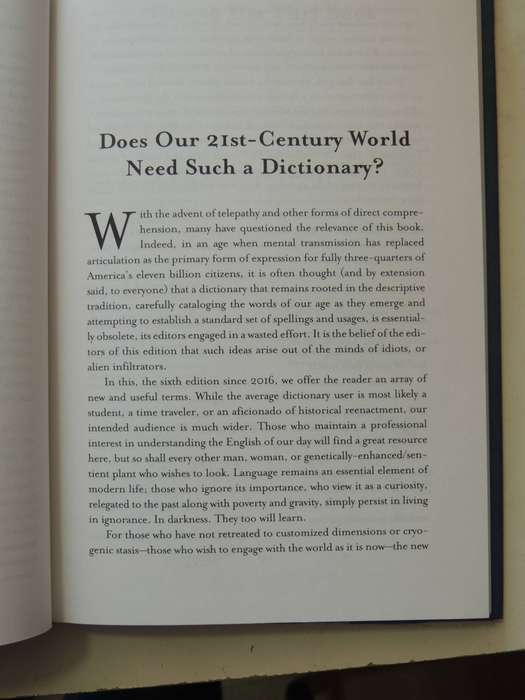 The Future Dictionary Of America- Various
