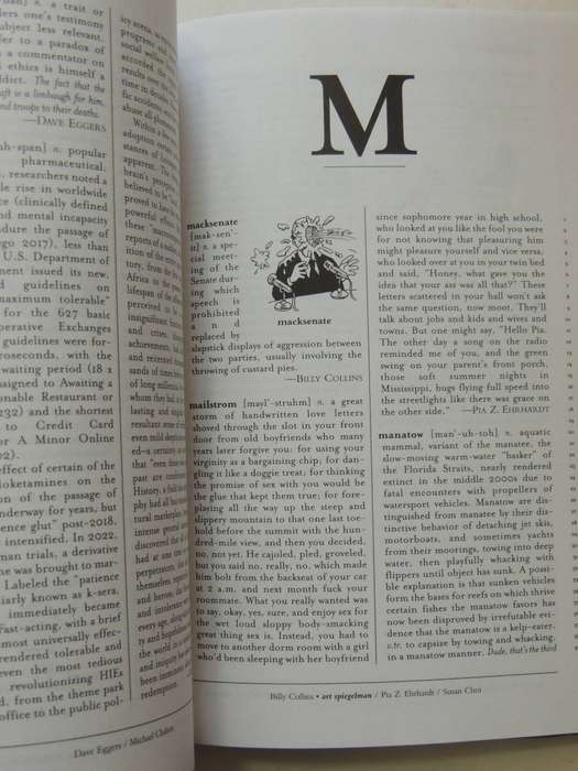 The Future Dictionary Of America- Various