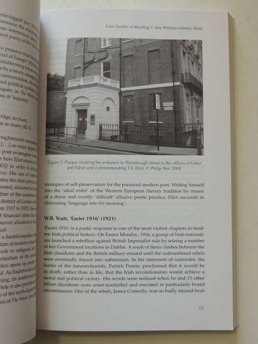 Literature And Culture Handbook: The Modernism Handbook - ed Philip Tew & Alex Murray