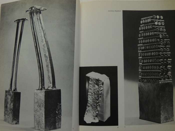 Art Of The Modern Potter - Tony Birks