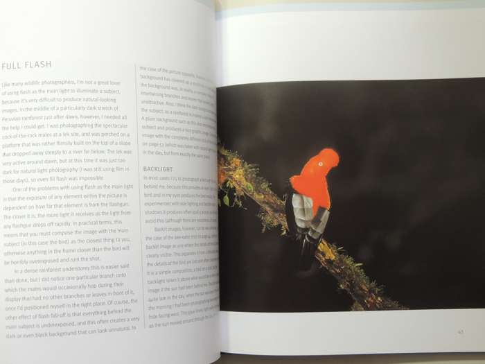 Creative Bird Photography - Bill Coster