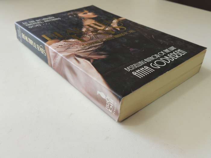 Beautiful Days - A Bright Young Things Novel - Anna Godbersen