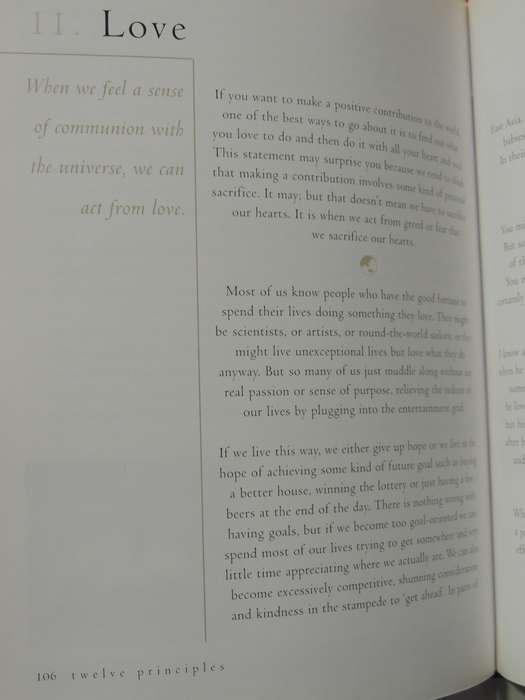 Twelve Principles: Living With Integrity In The Twenty-First Century- Martin Hawes