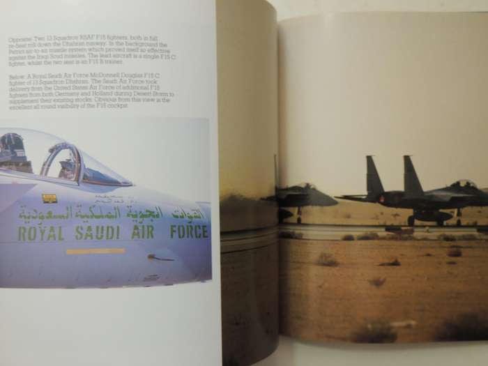 Desert Fist: Allied Airpower For Desert Storm, A Pilot's View - Ian Black