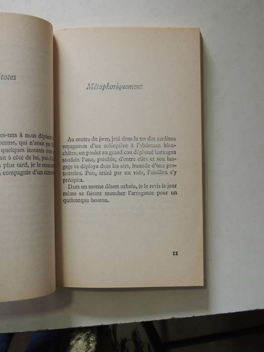 Exercices De Style- Raymond Queneau