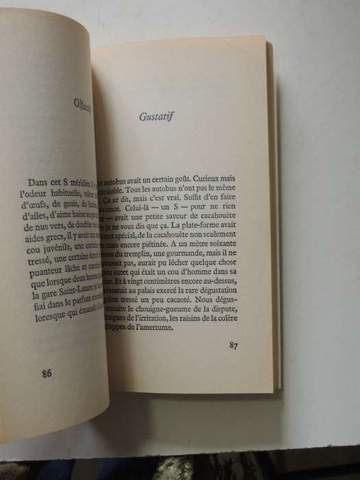 Exercices De Style- Raymond Queneau
