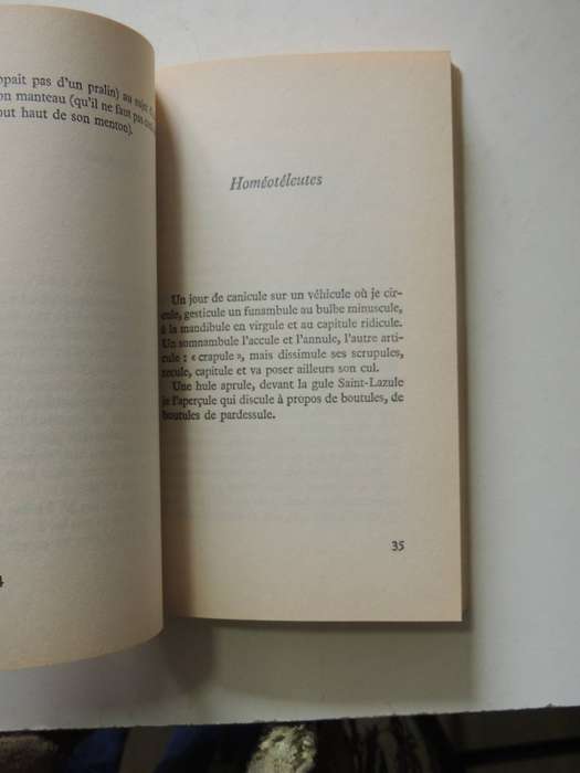 Exercices De Style- Raymond Queneau