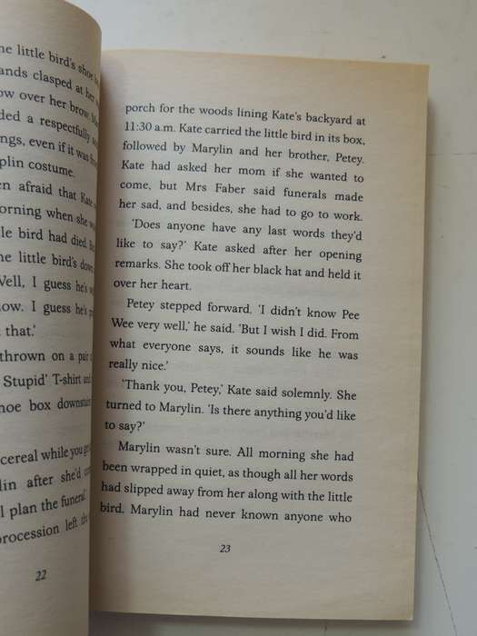 The Secret Language Of Girls   - Frances O'Roark Dowell