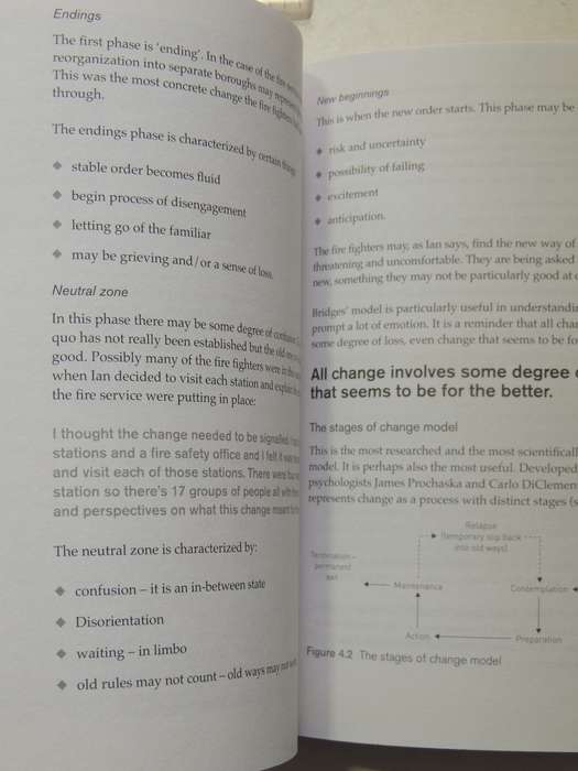 Solution-Focused Coaching: Managing People In A Complex World - Jane Greene & Anthony M Grant