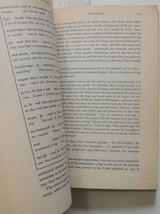 The English Language - David Crystal