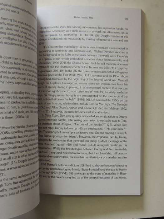 Somewhere In The Double Rainbow: Representations Of Bisexuality In Post-Apartheid - Chery Stobie