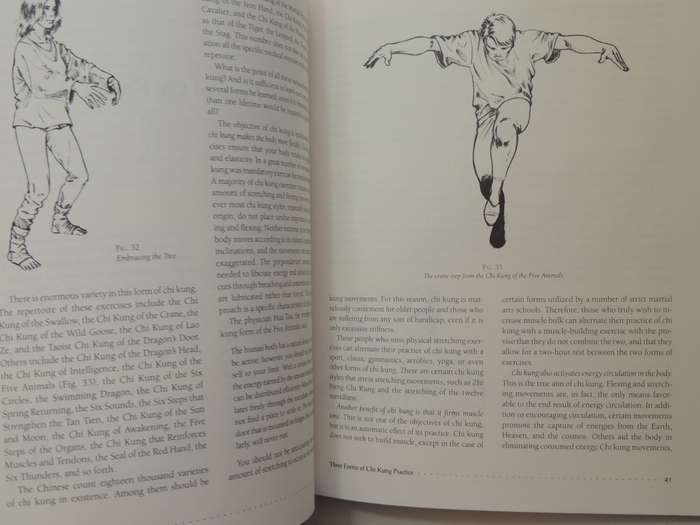 Chi Kung: The Chinese Art Of Mastering Energy - Yves Requena