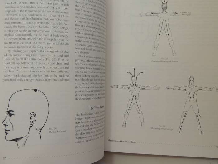 Chi Kung: The Chinese Art Of Mastering Energy - Yves Requena