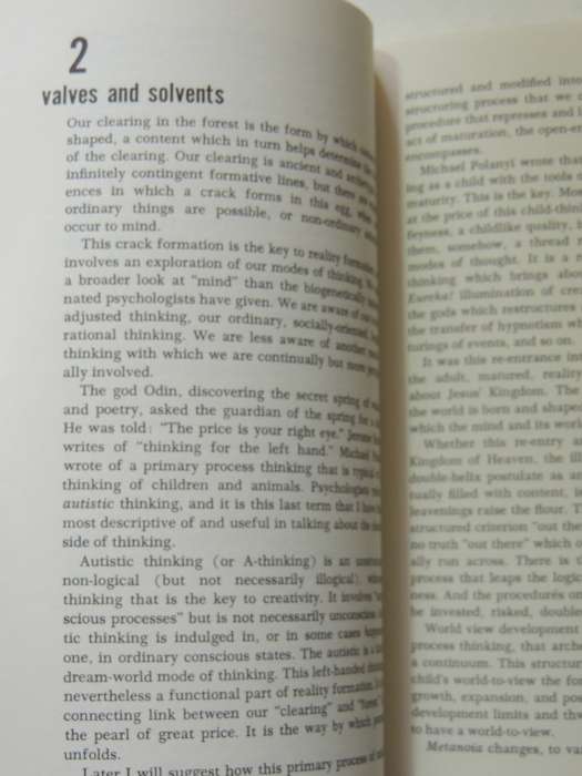 The Crack In The Cosmic Egg: Challenging Constructs Of Mind and Reality - Joseph Chilton Pearce