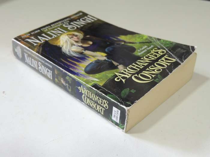 Archangel's Consort: Guild Hunter Book 3 - Nalini Singh