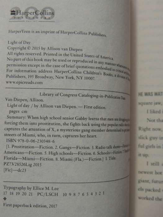 Light Of Day - Allison Van Diepen
