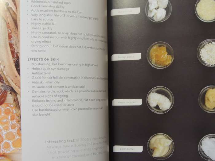 The Rain Book Of Natural Soap MakingBev Missing