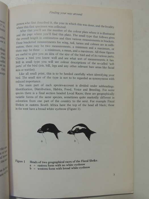 Aids To Bird Identification In Southern Africa - Gordon Maclean