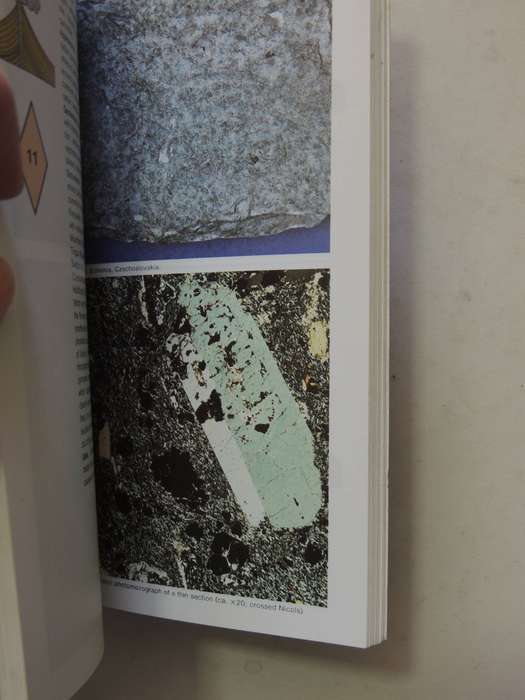 The Macdonald Encyclopedia Of Rocks And Minerals