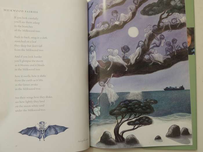 Fynbos Fairies - Antjie Krog & Fiona Moodie