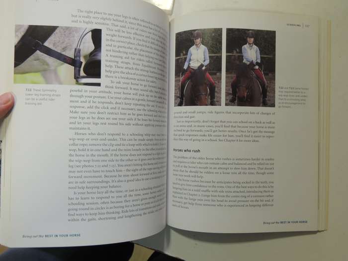 Bring Out The Best In Your Horse- Carolyn Henderson