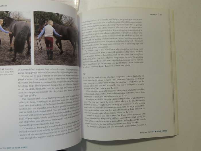 Bring Out The Best In Your Horse- Carolyn Henderson