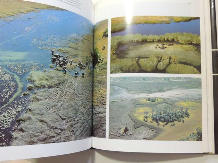 Okavango: Jewel Of The Kalahari- Karen Ross