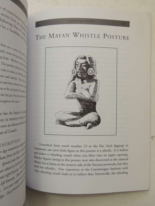 Ecstatic Body Postures: An Alternate Reality Workbook - Belinda Gore