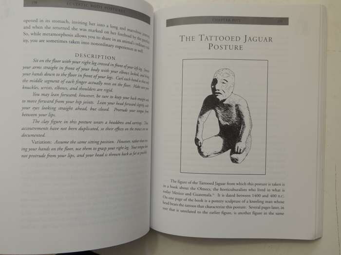 Ecstatic Body Postures: An Alternate Reality Workbook - Belinda Gore