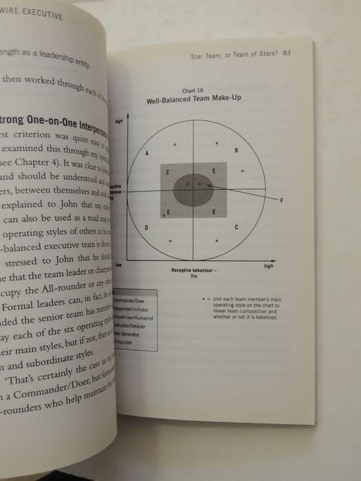 Highwire Executive: Top Coaching Secrets To Transform Your Work And Home Life - Peter Stephenson