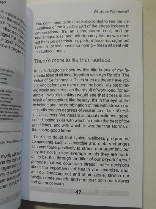 Icebergs In Africa: A Wellness Journey Through The Visible And The Invisible - Julie Shaw