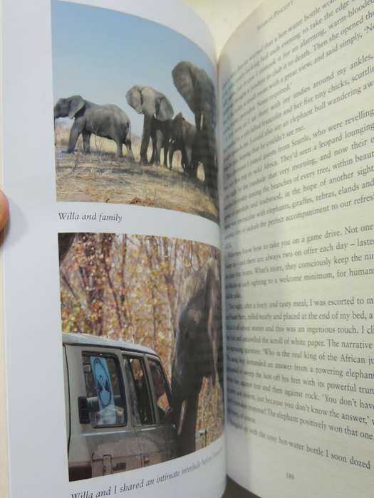 Battle For The President's Elephants: Life, Lunacy & Elation In The African Bush - Sharon Pincott