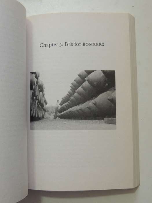 Bomber County: The Poetry Of A Lost Pilot's War - Daniel Swift