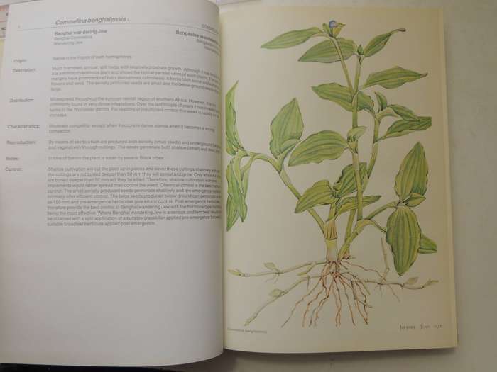 Weeds Of Crops And Gardens In Southern Africa- Kees Grabandt