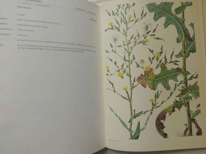 Weeds Of Crops And Gardens In Southern Africa- Kees Grabandt