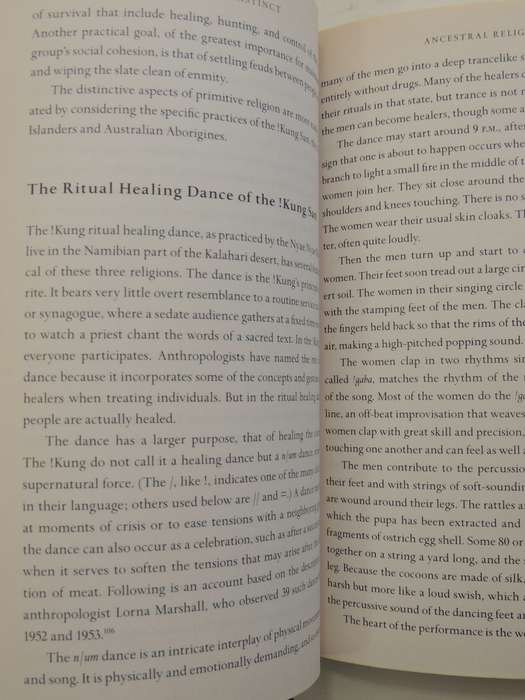 The Faith Instinct: How Religion Evolved And Why It Endures - Nicholas Wade