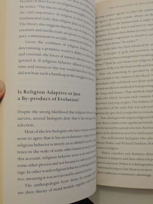 The Faith Instinct: How Religion Evolved And Why It Endures - Nicholas Wade