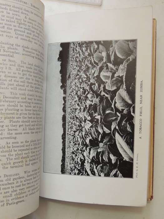 The Handbook Of Nyasaland Comprising Historical, Statistical And General Information Concerning The