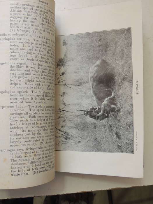 The Handbook Of Nyasaland Comprising Historical, Statistical And General Information Concerning The