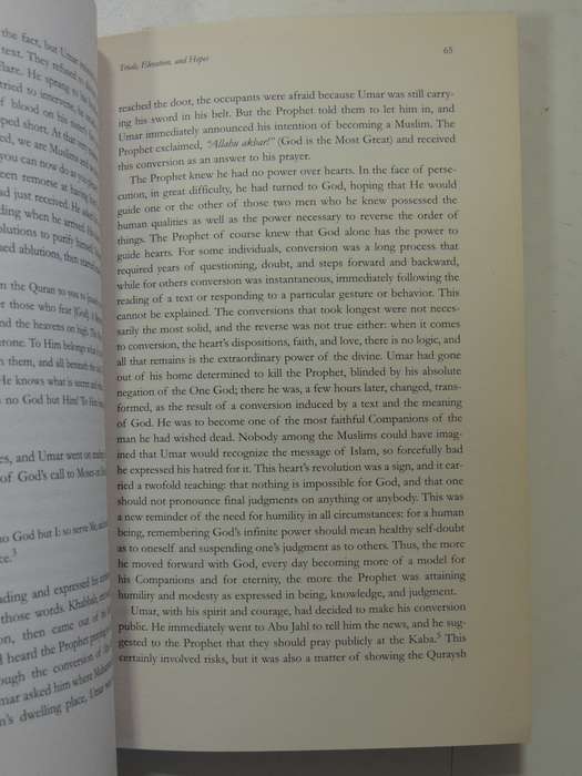 The Messenger: The Meaning Of The Life Of Muhammad - Tariq Ramadan